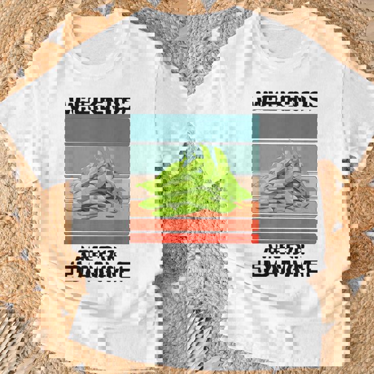 ヴィンテージ 枝豆 食べ物好き 週末は枝豆好きの人へ Tシャツ 高齢者への贈り物