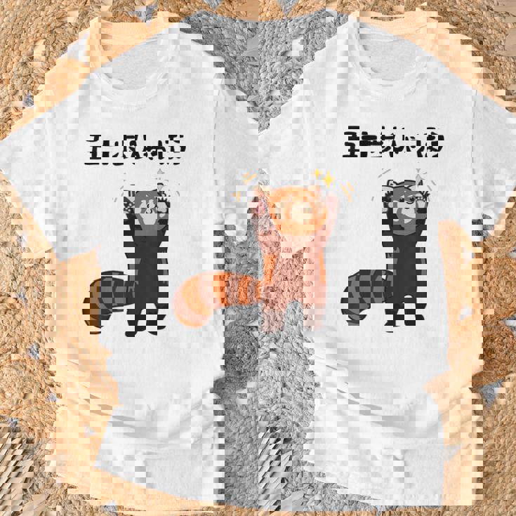 五十歩ひゃっほう レッサーパンダ ネタ ことわざ ことわざのもじり ジョーク ギャグ ダジャレ ツッコミ おもしろ Tシャツ 高齢者への贈り物