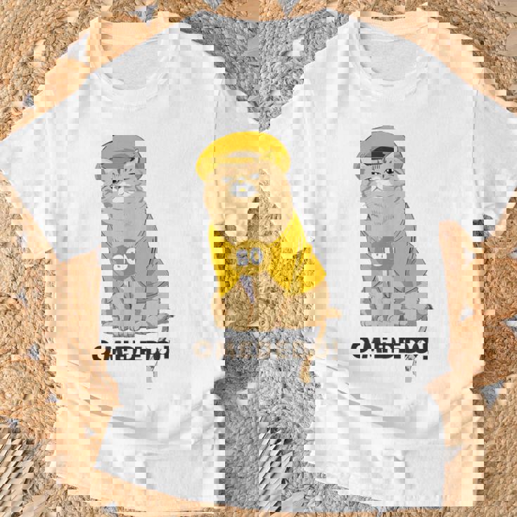 傘寿祝い 猫 ねこ ちゃんちゃんこ 男性 女性 猫好き 傘寿 お祝い 80歳 かわいい おもしろ ベージュ猫 Tシャツ 高齢者への贈り物