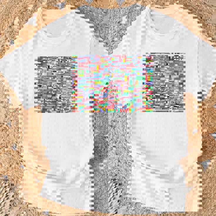 国際世界旗 国旗 世界地図 地球儀 Tシャツ 高齢者への贈り物