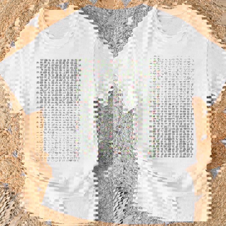 小さなかわいい多肉植物 Tシャツ 高齢者への贈り物