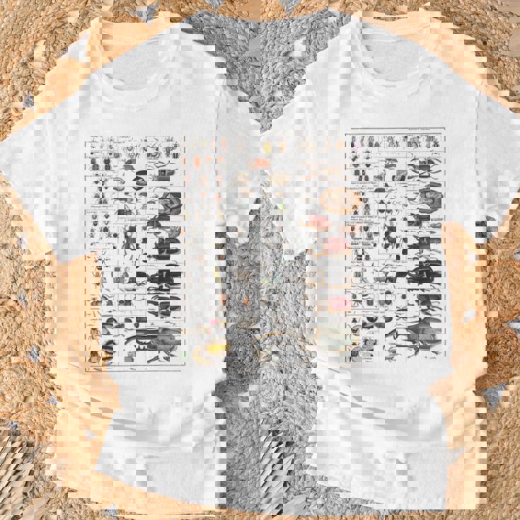 昆虫の種類 ビンテージバグ同定科学 Tシャツ 高齢者への贈り物