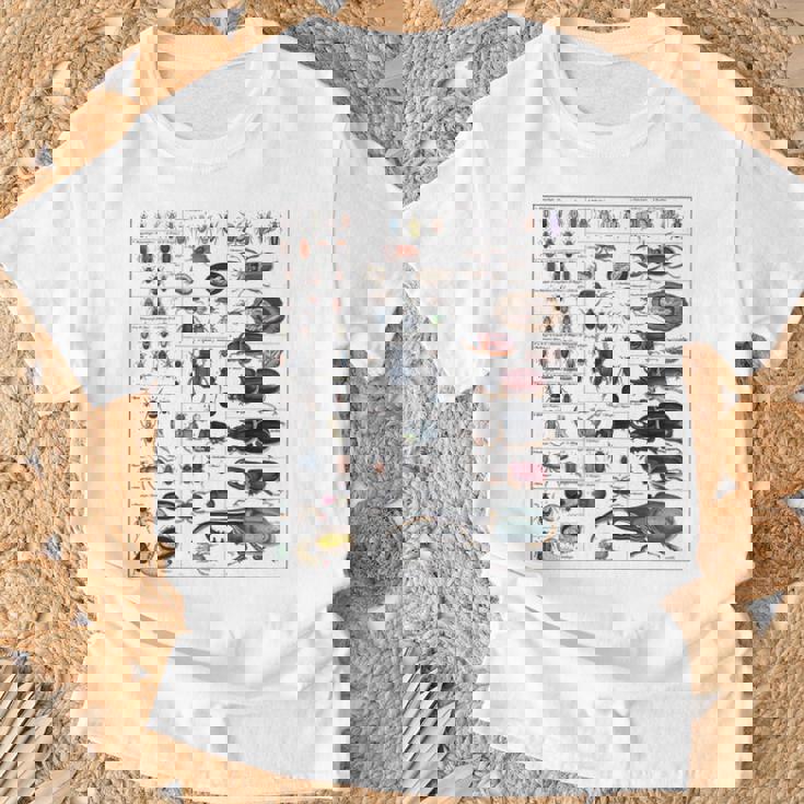 昆虫コレクション種ヴィンテージバグチャート昆虫学 Tシャツ 高齢者への贈り物