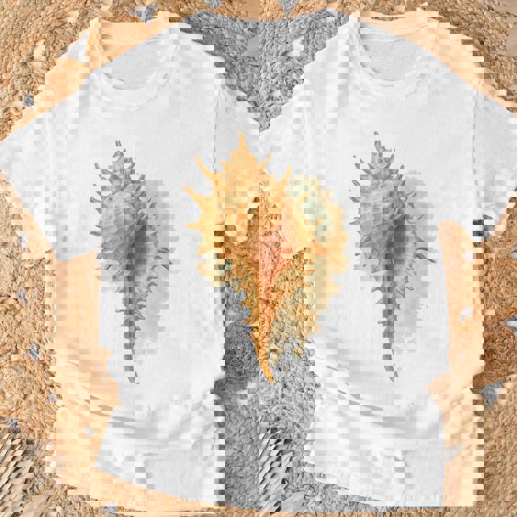 水彩 ムレックス 貝殻 貝殻 ハンティング ビーチコーミング Tシャツ 高齢者への贈り物