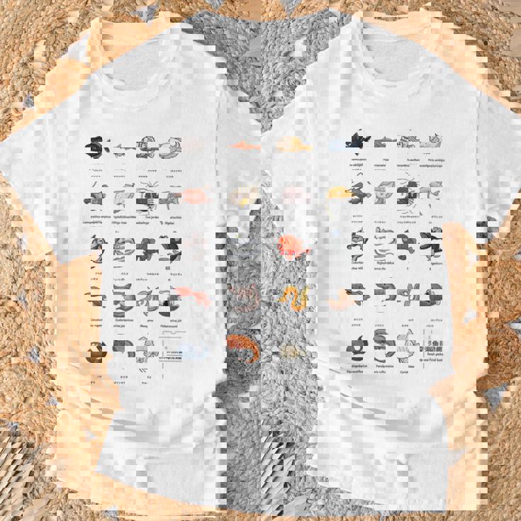 深海魚図鑑4 Tシャツ 高齢者への贈り物