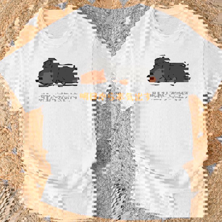 犬 おもしろ 明日から本気出す 可愛い ダックスフンド ミニチュアダックスフンド 長袖tシャツ Tシャツ 高齢者への贈り物