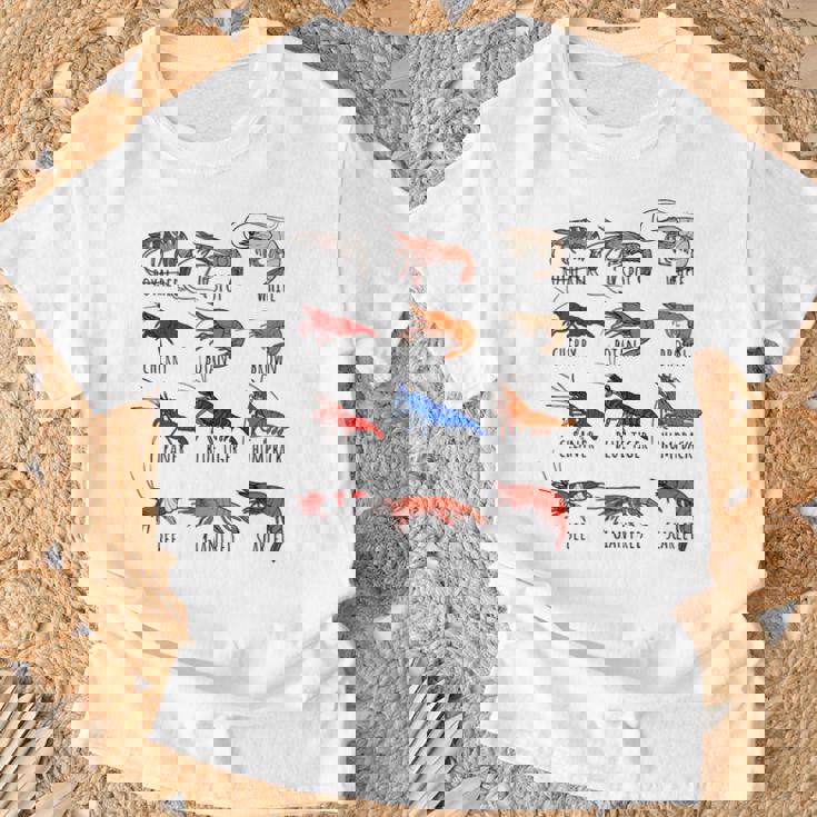 異なるタイプのエビの品種コレクション、かわいいエビ愛好家。 Tシャツ 高齢者への贈り物