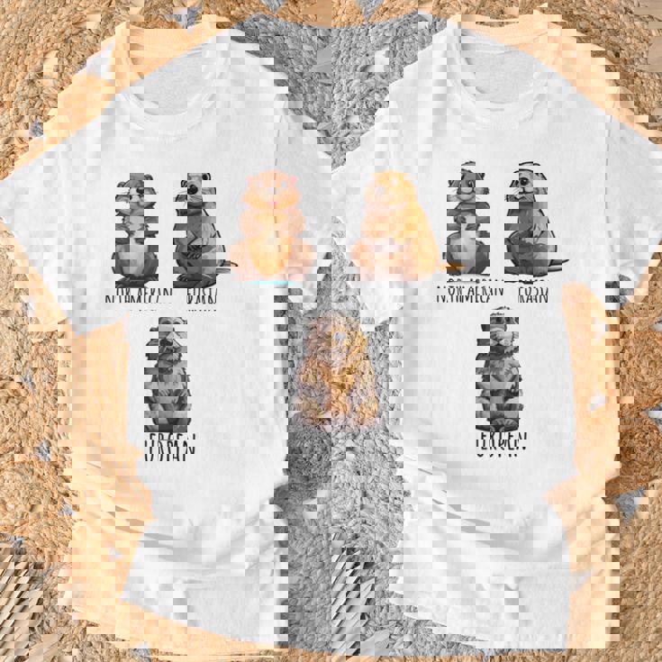 異なるタイプのビーバーズ品種コレクション、かわいいビーバーが大好き。 長袖tシャツ Tシャツ 高齢者への贈り物