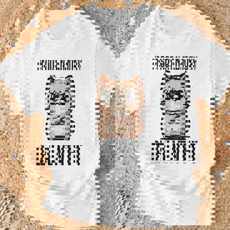 私は短気で口うるさいので、それを扱います。態度猫 Tシャツ 高齢者への贈り物