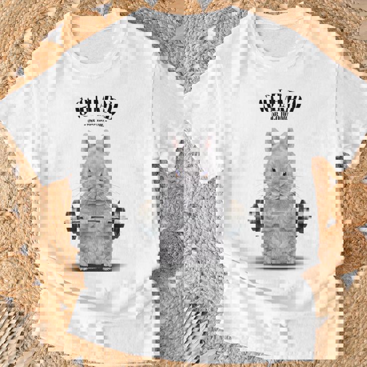 筋トレ ジム やる気がないなら家に帰れ ネザーランドドワーフ ウサギ ホワイト Tシャツ 高齢者への贈り物