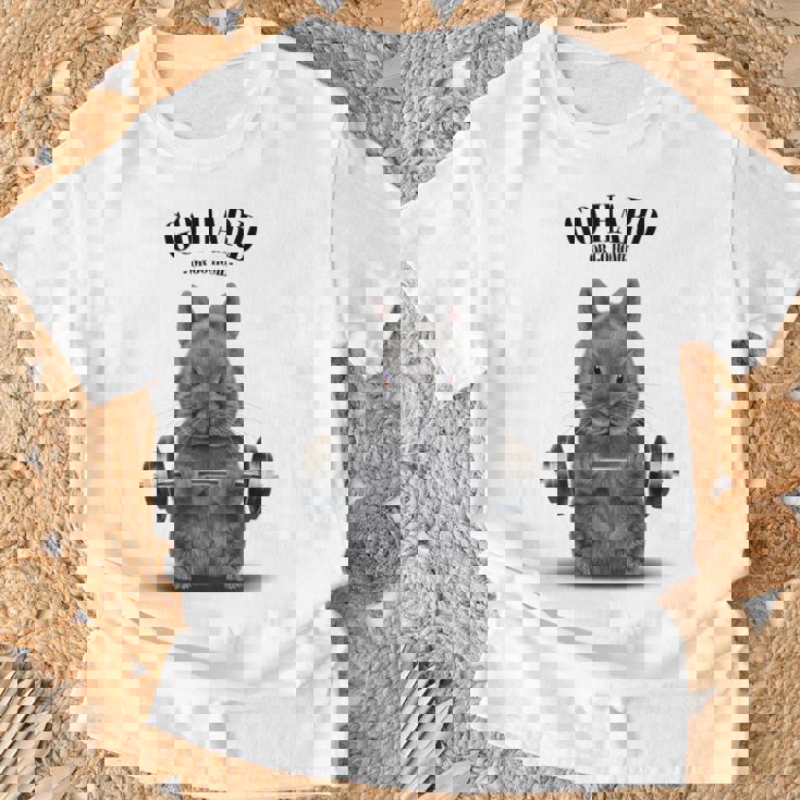 筋トレ ネザーランドドワーフ ウサギ ブルー Tシャツ 高齢者への贈り物