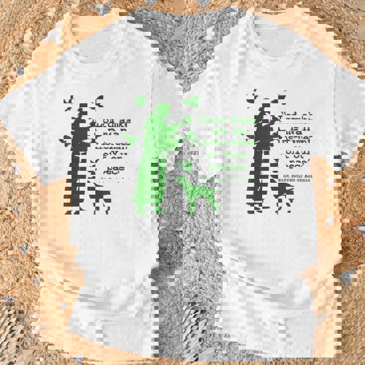 聖フランシスコ Tシャツ 高齢者への贈り物