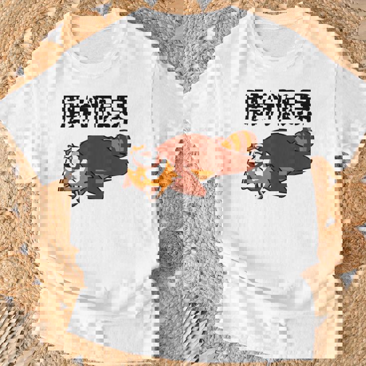 腰が限界 レッサーパンダ 面白いtシャツ 文字入り メンズ おもしろ 面白い 服 オリジナル おもしろグッズ 文字 Tシャツ 高齢者への贈り物