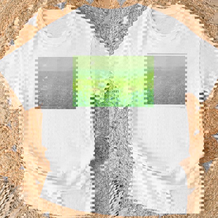 詩とメルヘン 葉祥明 妖精の棲む森 Tシャツ 高齢者への贈り物