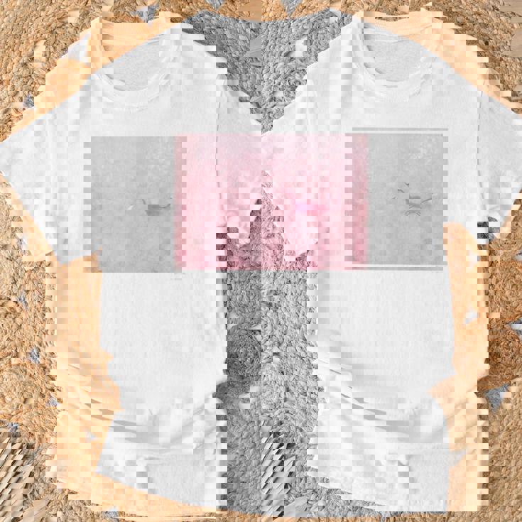 詩とメルヘン 葉祥明 私のネッシー Tシャツ 高齢者への贈り物