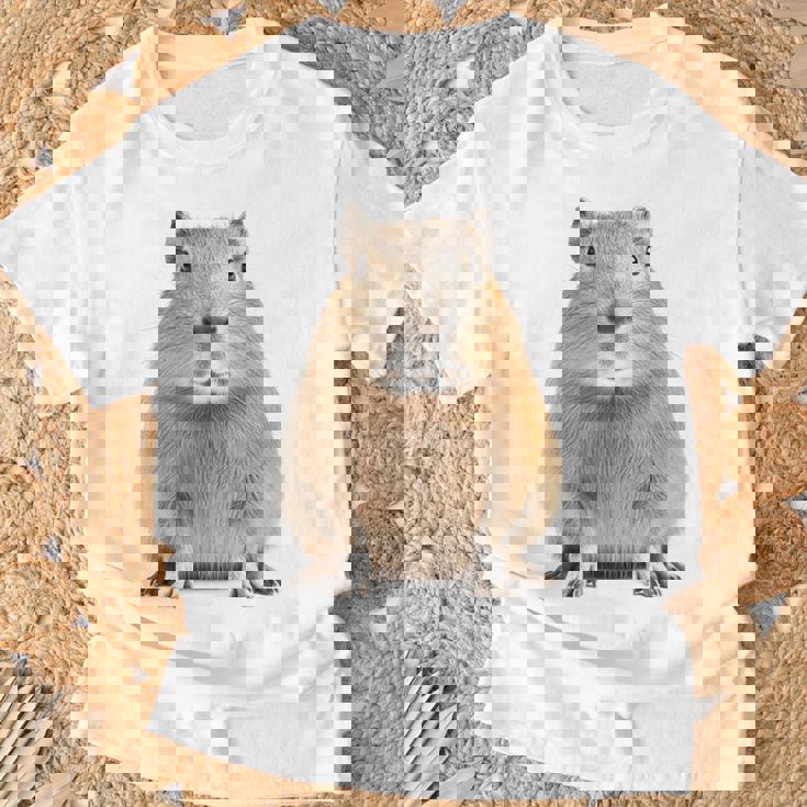 豚 ペット げっ歯類 動物愛好家 ギフト Tシャツ 高齢者への贈り物