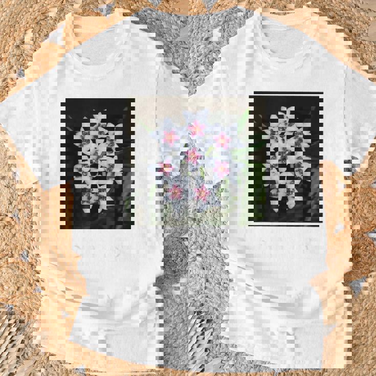 面白いhoya Flowers 多肉植物 ガーデニング 植物 Tシャツ 高齢者への贈り物