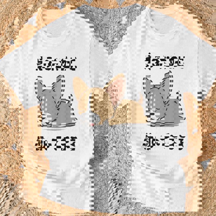 面白いtシャツ チワワ イヌ わんこ メンズ 犬好き グッズ おもしろ 面白い 服 ネタ わんこ Tシャツ 高齢者への贈り物