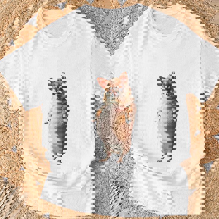 面白いtシャツ チワワ 犬 わがままボディ イヌ わんこ メンズ 犬好き グッズ おもしろ 面白い 服 ネタ 長袖tシャツ Tシャツ 高齢者への贈り物