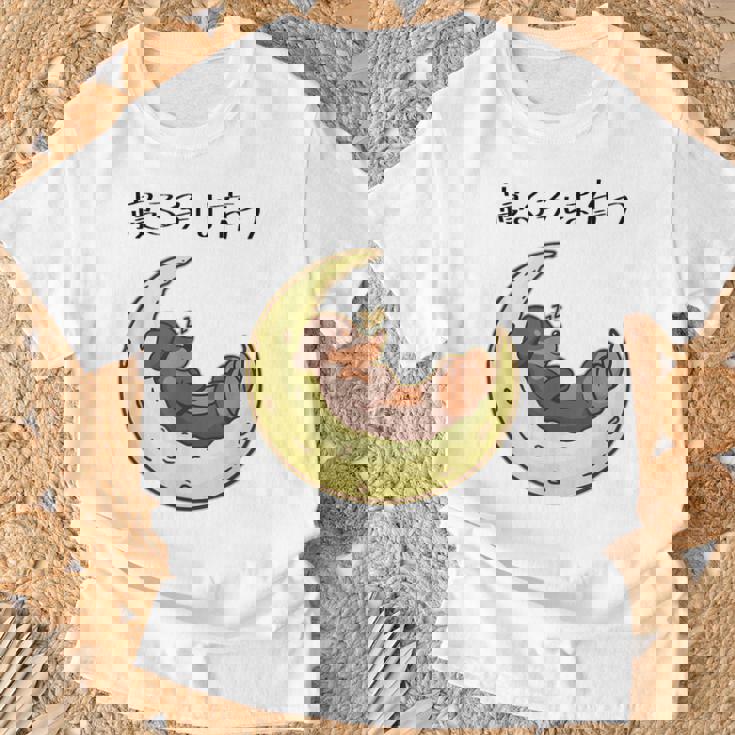 面白いtシャツ 犬 ダックスフンド イヌ メンズ 犬好き グッズ かわいい おもしろ 面白い 服 ネタ Tシャツ 高齢者への贈り物