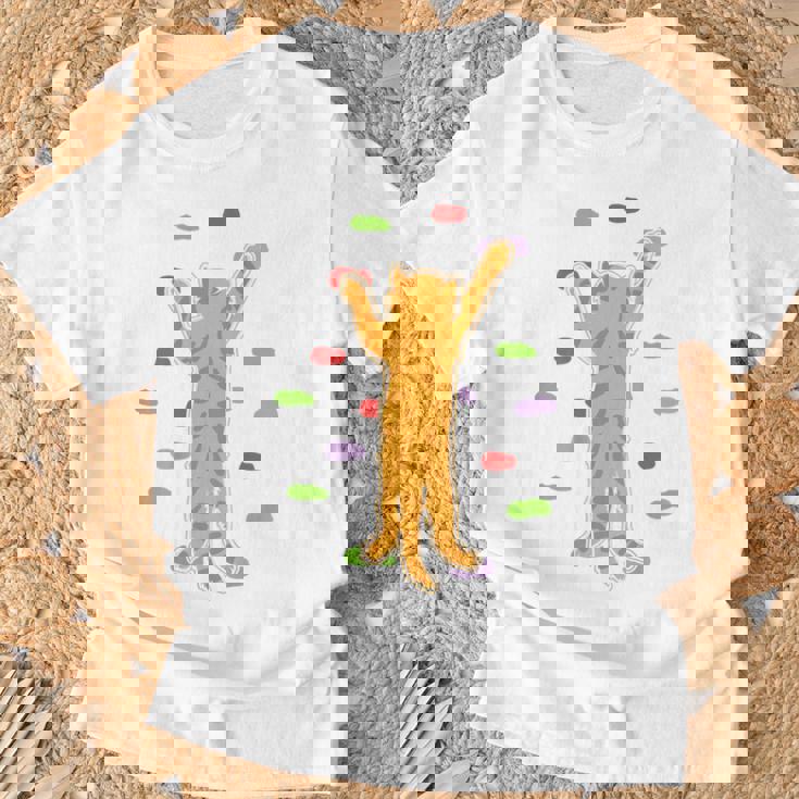 面白くてかわいいボルダーロッククライミングキャット背中にプリント Tシャツ 高齢者への贈り物