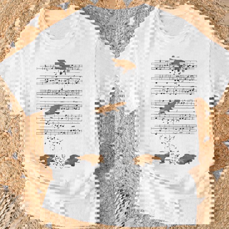 音符で遊ぶ面白いカモノハシ Tシャツ 高齢者への贈り物