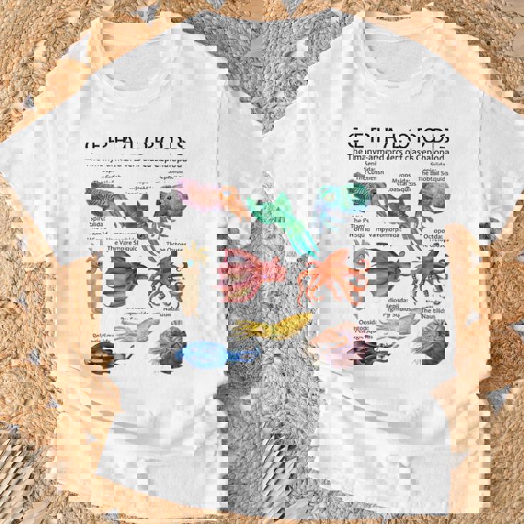 頭足類 Tシャツ 高齢者への贈り物