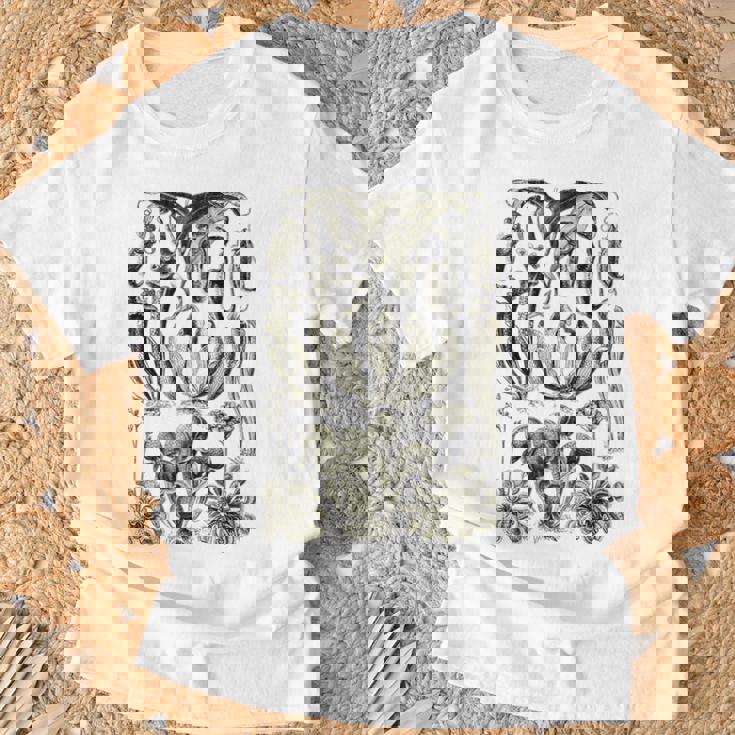 食虫植物 ヴィンテージ サラセニア ボタニカル Tシャツ 高齢者への贈り物