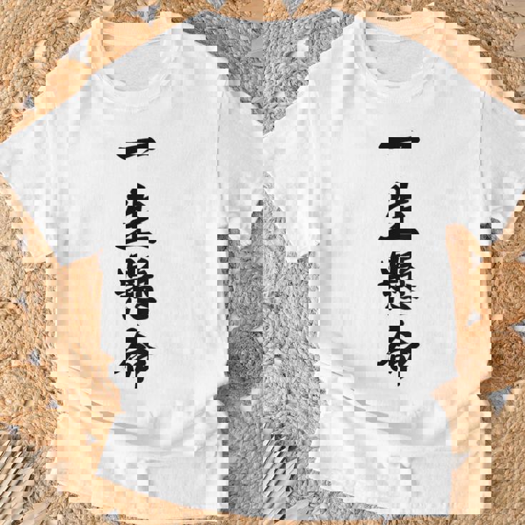 （バックプリント・背中側）一生懸命【格言・名言】毛筆 漢字文字 座右の銘 面白い言葉 メッセージ デザイン Tシャツ 高齢者への贈り物