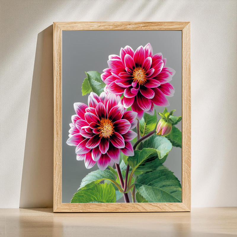 Magenta Dahlia Blooms, Elegant Floral Still Life Canvas Wall Art | Family Wall Decor