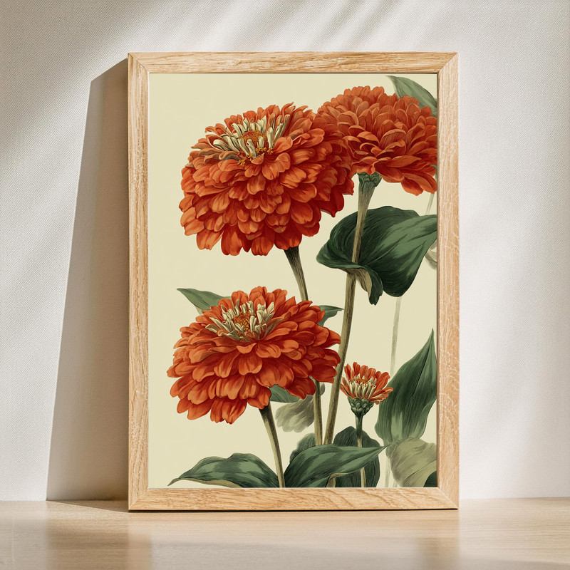 Zinnia flowers canvas wall art with a vertical portrait of pink and orange blooms, painterly texture, cream background | Familywalldecor