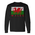 ウェールズ国旗 ウェールズ ドラゴン アンティーク調 メンズ レディース キッズ 長袖Tシャツ ギフトのアイデア