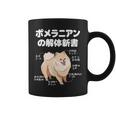 ポメラニアンの解体新書 スピッツ 犬の飼い主 ポメラニアンの飼い主 おもしろ 愛犬家 犬 ポメラニアン コーヒーマグ