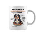 かわいい犬の説明 バーニーズ・マウンテン・ドッグの解剖学 コーヒーマグ