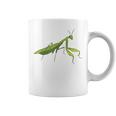 カマキリの虫バッタ カマキリの虫バッタ カマキリの虫バッタ コーヒーマグ