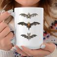 コウモリ 科学イラスト 描画 生物学 アート ハロウィン コーヒーマグ 面白い贈り物