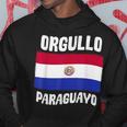 パラグアイプライド パラグアイ国旗 Orgullo Paraguayo パーカー 面白い贈り物