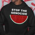 パレスチナスイカ ジェノサイドを止める パーカー 面白い贈り物
