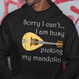 マンドリンピッキング ミュージシャン 音符 フォークミュージック パーカー 面白い贈り物