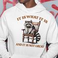 アライグマのミーム It's What It's And It Is Not Greatarcastic パーカー 面白い贈り物
