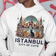 イスタンブール、トルコ 猫の街 Ii パーカー 面白い贈り物