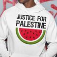 パレスチナの正義 スイカ 国旗 パレスチナ人 パーカー 面白い贈り物