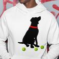 ラブラドールレトリバー 犬 イエロー ラボ テニスボール ギフト パーカー 面白い贈り物