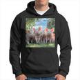 Grupo Lindos Cerditos De Lauerte Cerdos Felices Familia Sudadera