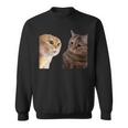 2匹の猫がミームを話す 長袖tシャツ スウェットシャツ
