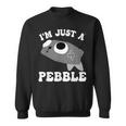 アイム・ジャスト・ア・ペブル・ダンディーズ・ワールド スウェットシャツ