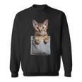 ポケットに入ったアビシニアン猫 スウェットシャツ