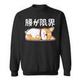 筋肉痛は裏切らない 柴犬 面白いtシャツ 筋トレ 文字入り メンズ おもしろ 面白い 服 おもしろグッズ 文字 スウェットシャツ