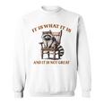 アライグマのミーム It's What It's And It Is Not Greatarcastic スウェットシャツ