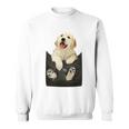 ゴールデンレトリバー ポケットに入った子犬 長袖tシャツ スウェットシャツ